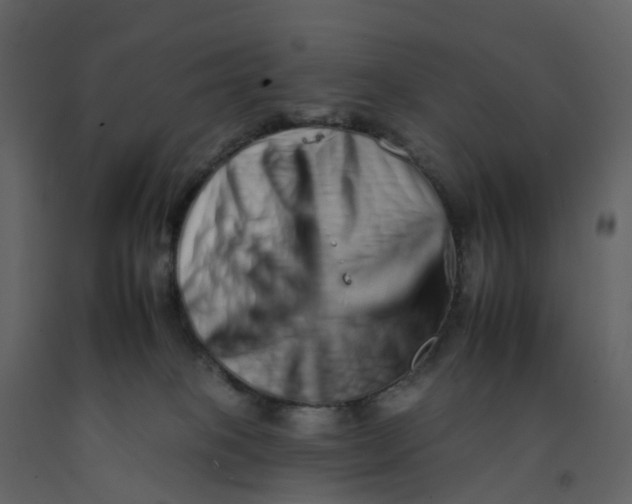 X0000092260085200710051327