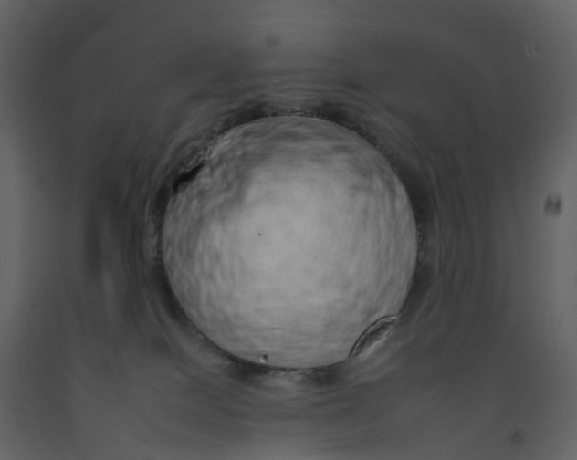 X0000092260086200710051327