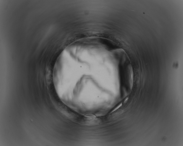 X0000092260087200710051327