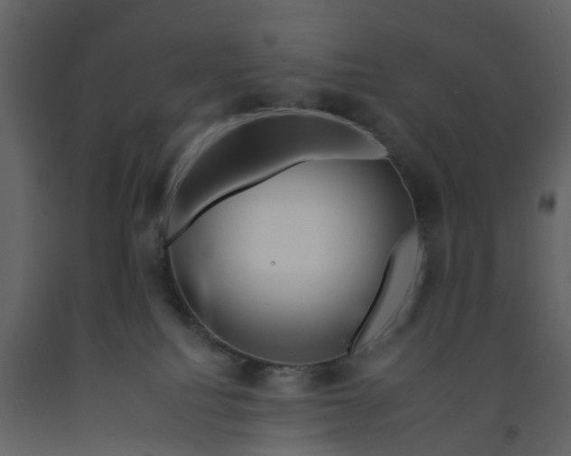 X0000092260088200710051327