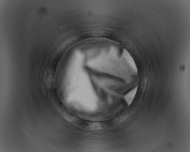 X0000092260091200710051327