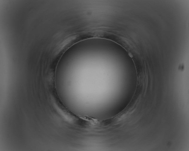 X0000092260092200710051327