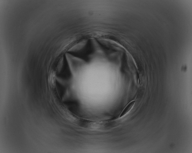 X0000092260094200710051328