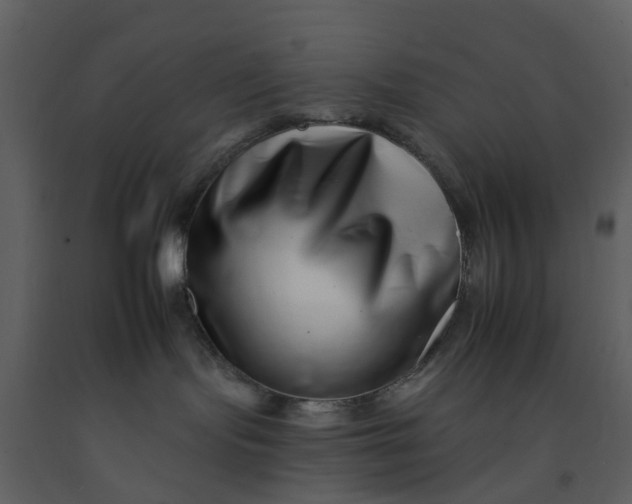 X0000092260095200710051328