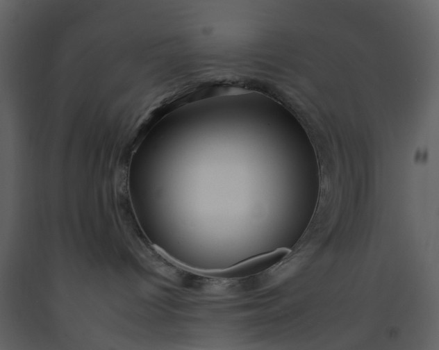 X0000092260096200710051328