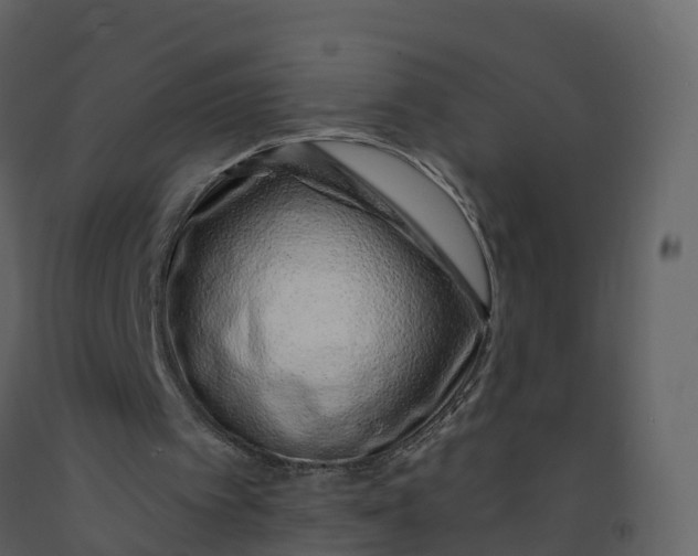 X0000092260097200710051327