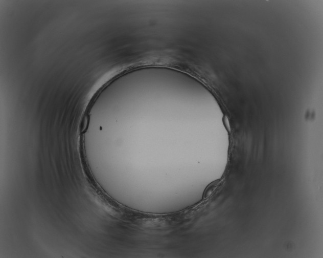 X0000092260100200710051327