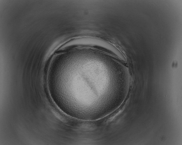 X0000092260101200710051327