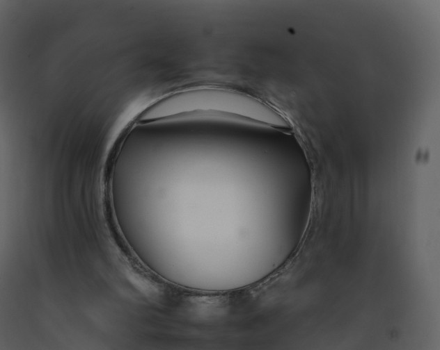 X0000092260102200710051327