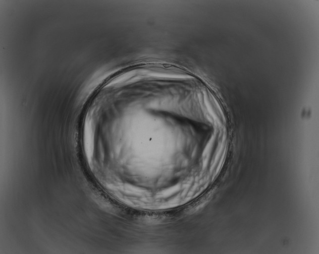 X0000092260103200710051327