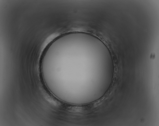 X0000092260104200710051327