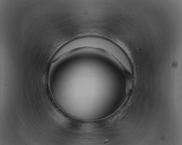 X0000092260105200710051327