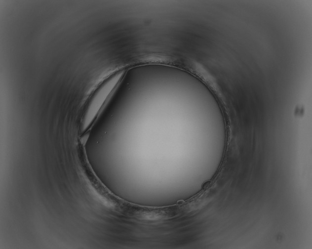 X0000092260106200710051327