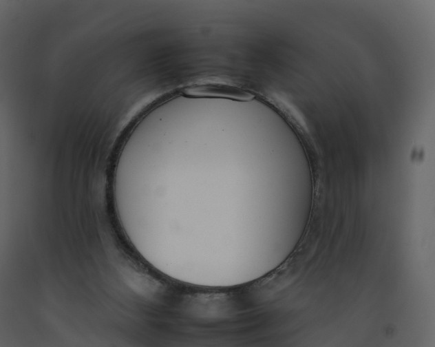 X0000092260108200710051327