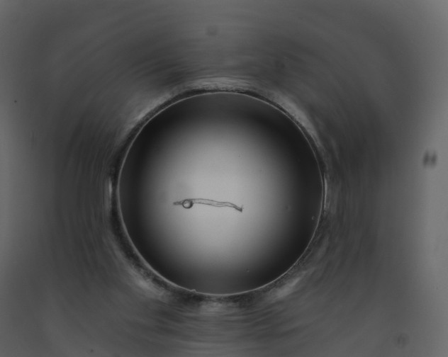 X0000092260109200710051327