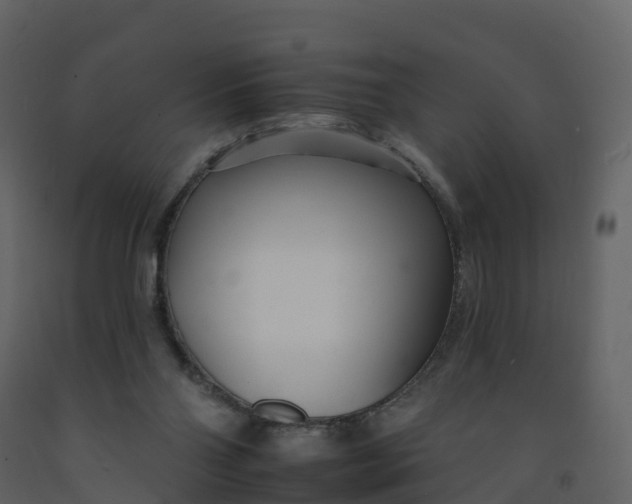 X0000092260110200710051327