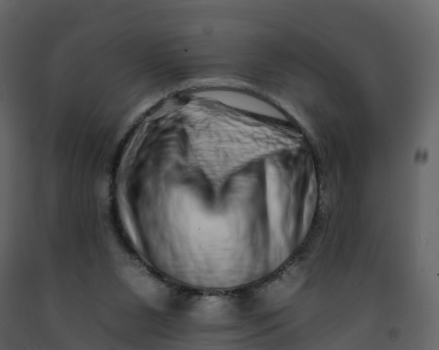 X0000092260111200710051327