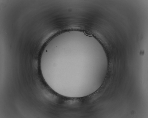 X0000092260112200710051327