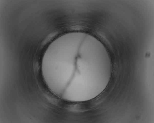 X0000092260116200710051327