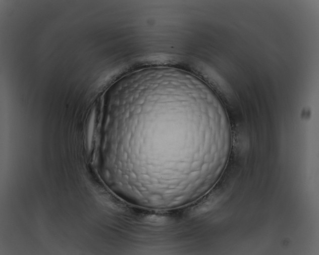 X0000092260119200710051327