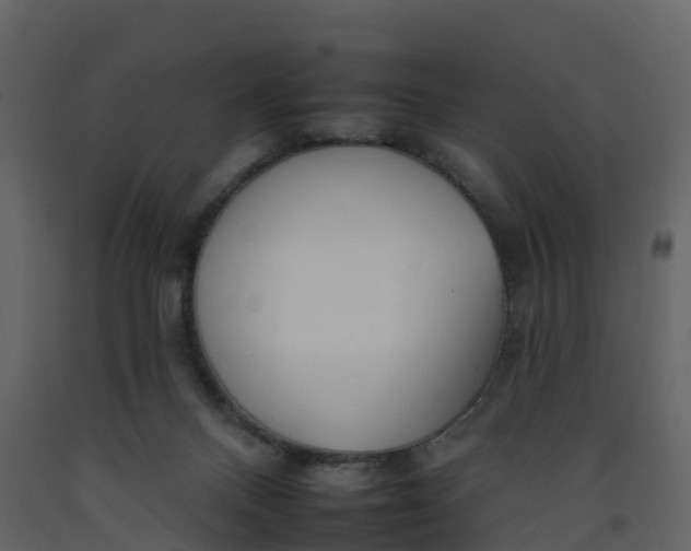 X0000092260120200710051327