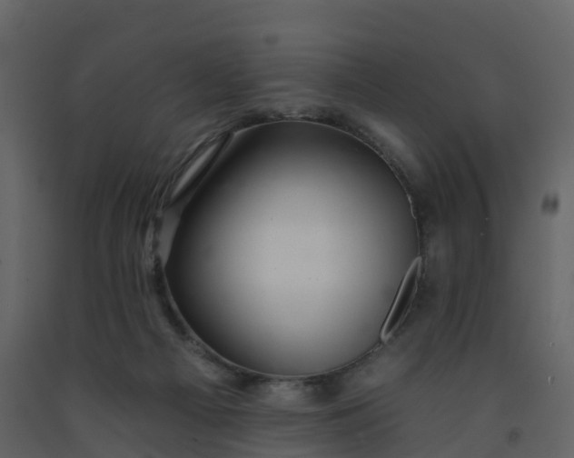 X0000092260121200710051327