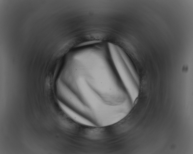 X0000092260122200710051327