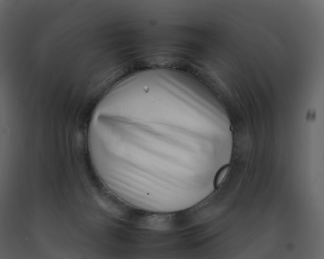 X0000092260126200710051327