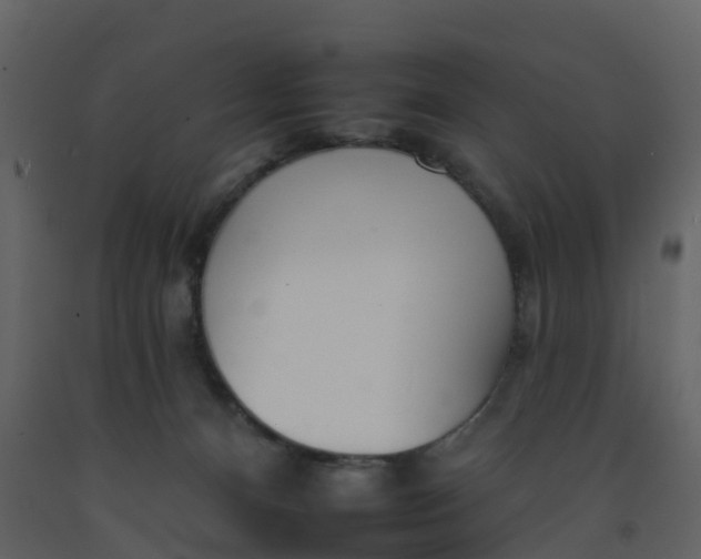 X0000092260128200710051327