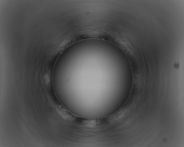 X0000092260131200710051327