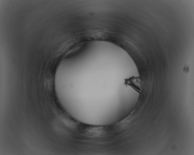 X0000092260132200710051326