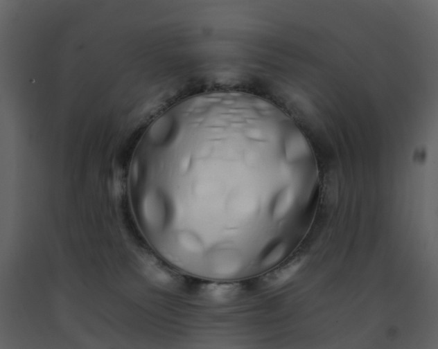 X0000092260135200710051326