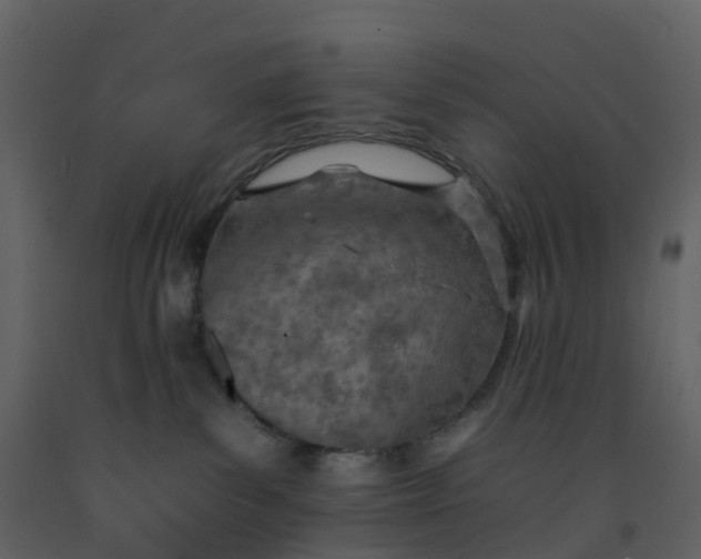 X0000092260139200710051326