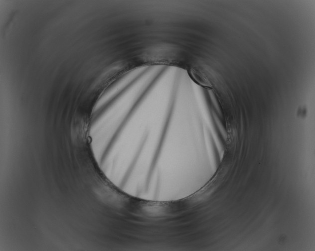 X0000092260142200710051326