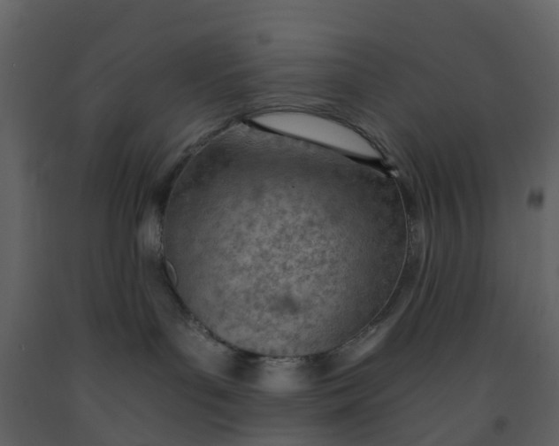 X0000092260143200710051326