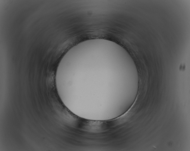 X0000092260144200710051326