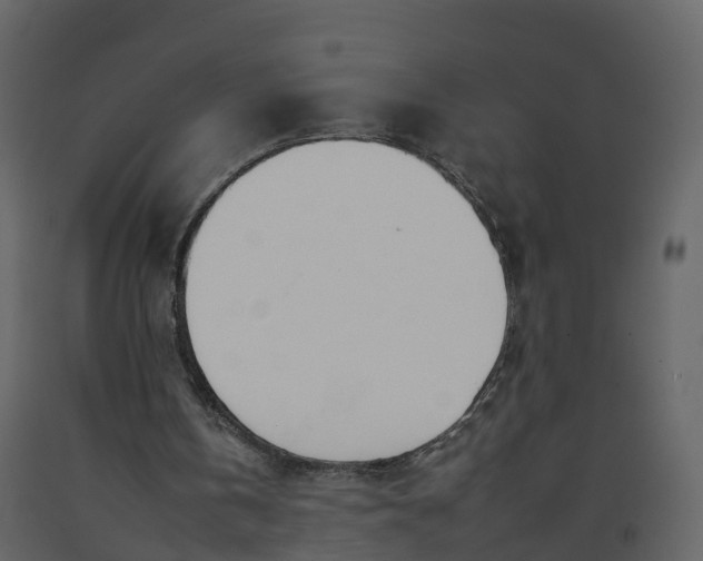 X0000092260146200710051326