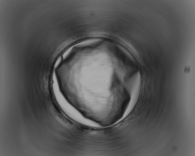 X0000092260155200710051326