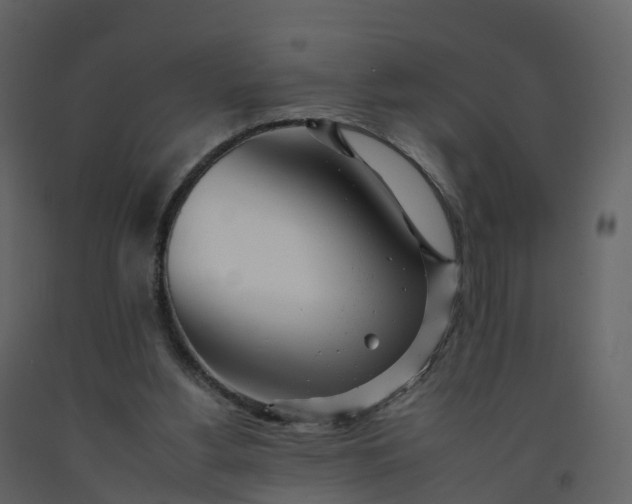 X0000092260156200710051326