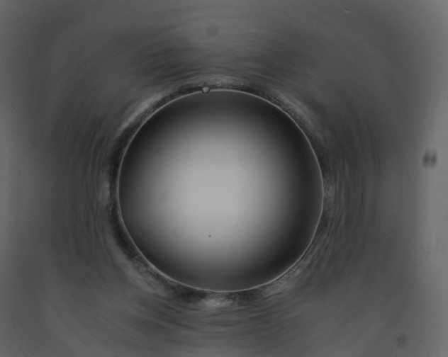 X0000092260158200710051326