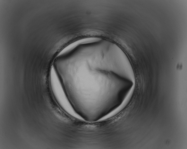 X0000092260159200710051326