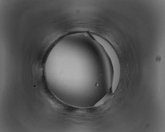 X0000092260160200710051326