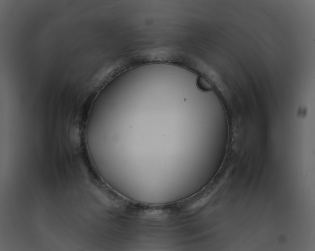 X0000092260161200710051326