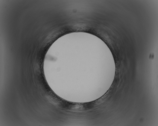 X0000092260162200710051326