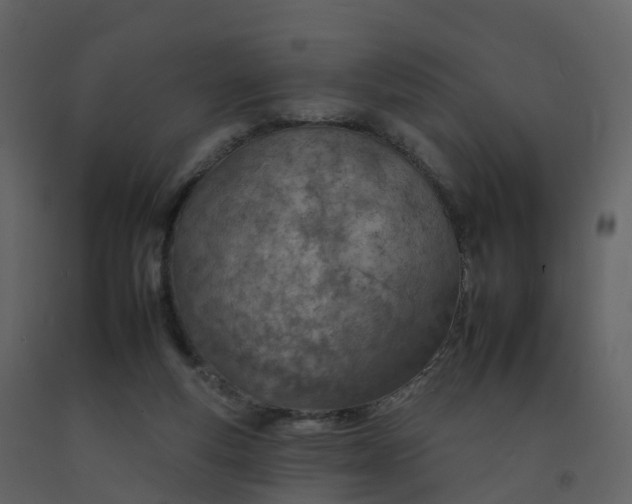 X0000092260163200710051326