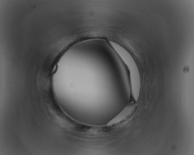 X0000092260164200710051326