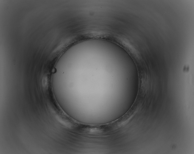 X0000092260165200710051326