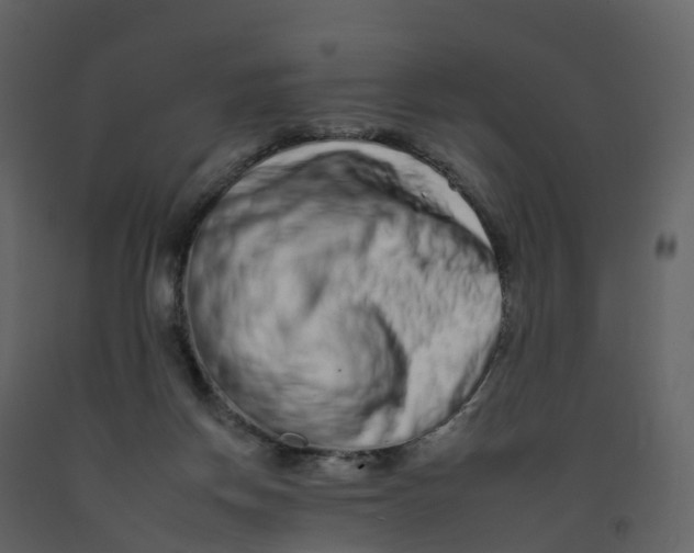 X0000092260166200710051326