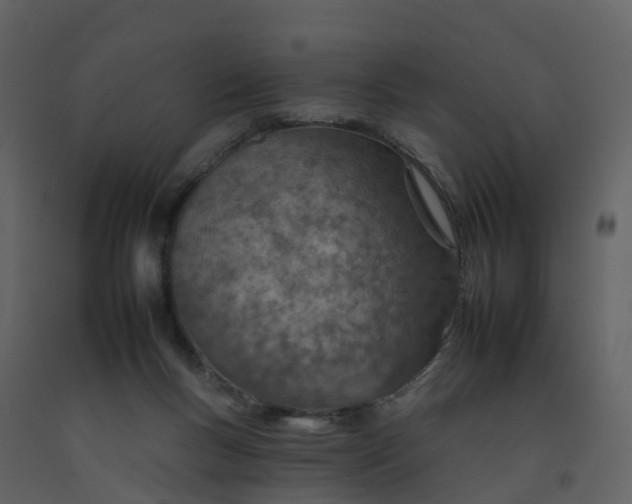 X0000092260167200710051326