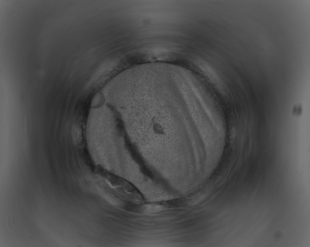 X0000092260169200710051326